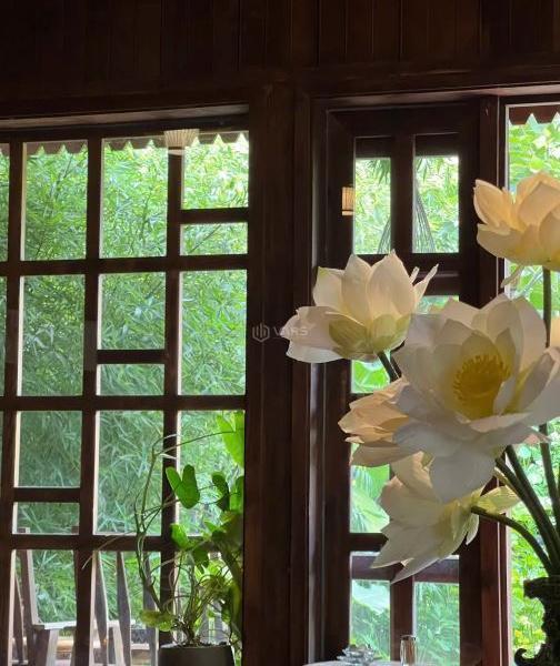 Chủ cần bán Biệt thự nghỉ dưỡng 600m²