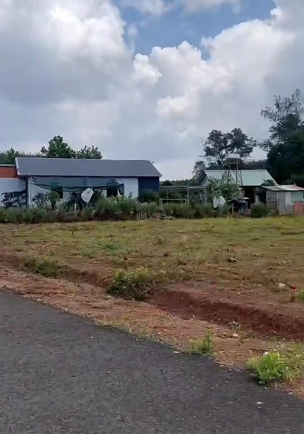 Hàng chính chủ mới ra - chỉ còn vài 🆘 nền view đẹp giá mềm 480tr