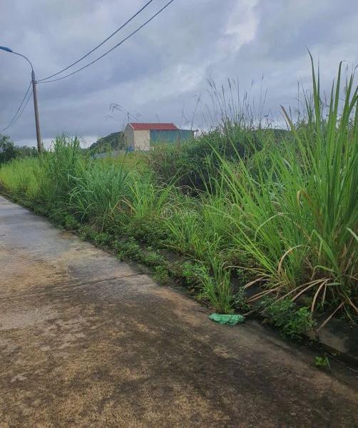 Cần bán Đất nền riêng lẻ 166m²