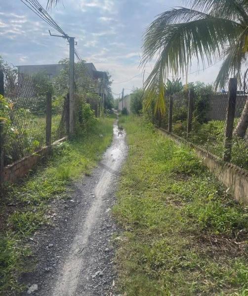 Đất đẹp đường to, giá chỉ bằng giá gốc, 🏣 5x40, giá tốt chỉ có 595 triệu/nền, ngay Hòa KHánh