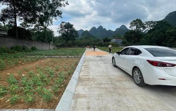 Bán Đất nền riêng lẻ 88m²