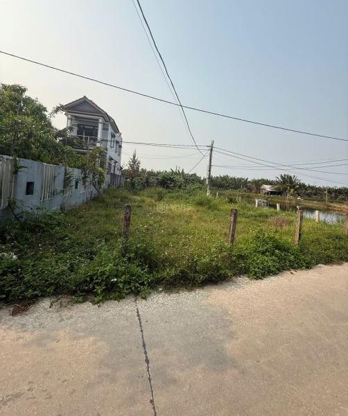 SIÊU RẺ Cẩm Thanh HỘI AN góc 2 mặt tiền View Dừa , Hồ 🏤 , Sông