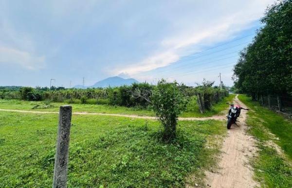 Bán 110 x 34 ( 3455m2 ) đất Tân Hà - ☘ Hàm Tân giá rẻ chỉ 14.5tr/ m ngang