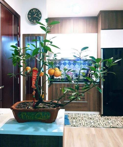 Cho thuê ☘ căn hộ Pegasus full nội thất 2PN trung tâm Biên Hòa