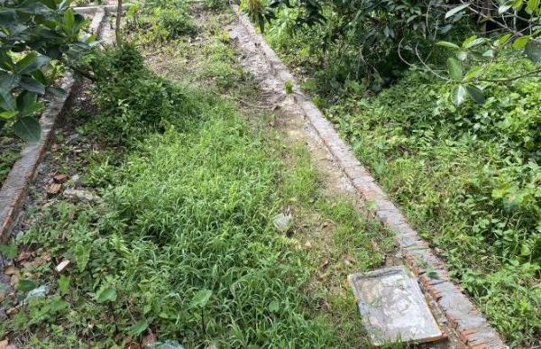 Chủ cần bán Đất nền Dự án 42m²