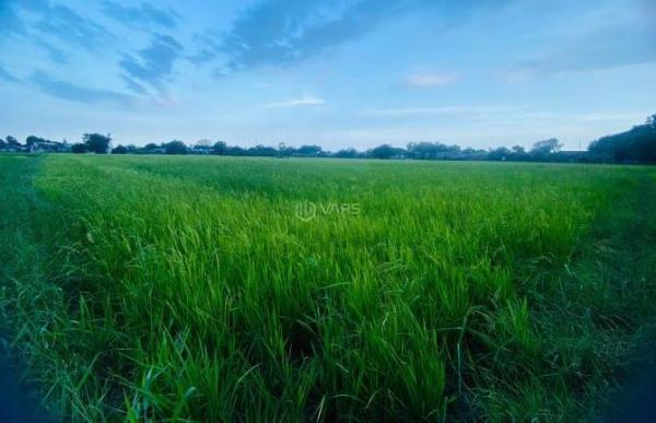 Bán Đất nền riêng lẻ 30m²