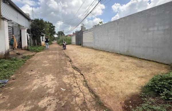 300m2 ĐẤT 🏘️ LÀM NHÀ VƯỜN NGUYỄN XUÂN NGUYÊN: 4.25 tỷ