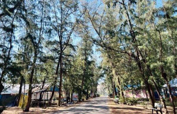 Cần bán Đất nền riêng lẻ 125m²