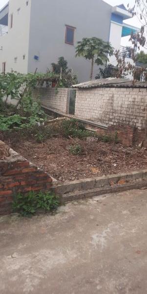 Bán Đất nền riêng lẻ 90m²