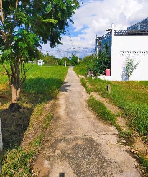 Bán Đất nền riêng lẻ 90m²