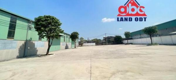 Cho thuê Nhà xưởng, nhà kho 9999m²