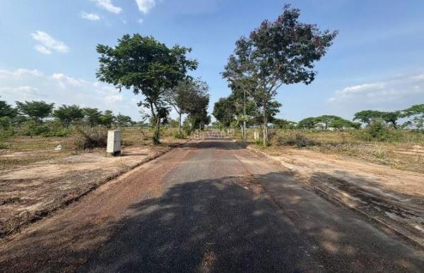 Cần bán đất nền tại Nhơn Trạch, 🏘️ giá chỉ 1tỷ 500/ 120m2, MT đường, XD tự do. Có SHR và PL