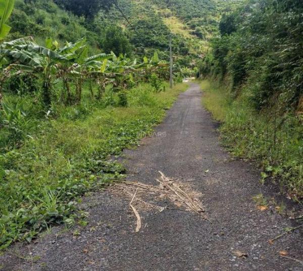 CHỦ BÁN ĐẤT TRỒNG CHÈ – CÀ PHÊ 🆘 VIEW ĐẸP TẠI ĐẠI LÀO – BẢO LỘC 🌿