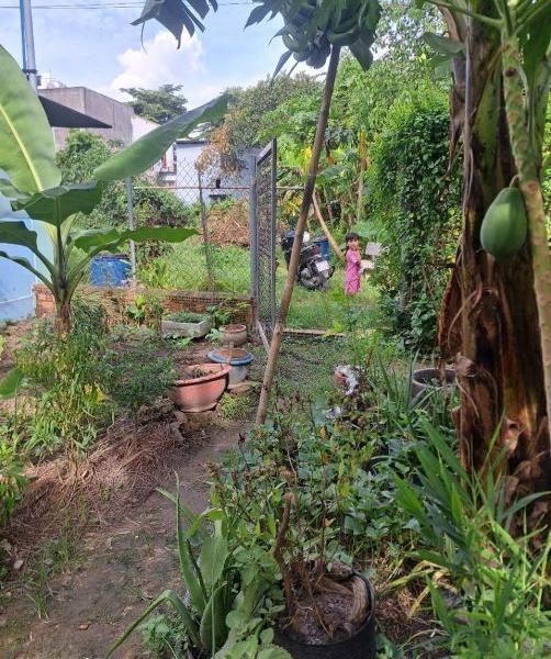 Chủ cần bán Đất nền riêng lẻ 156m²