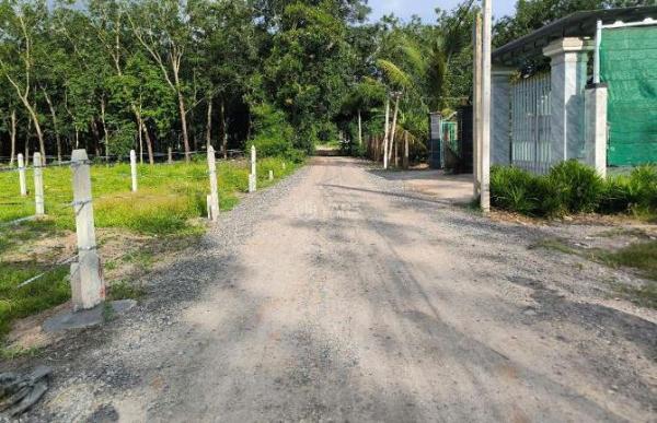 Cần bán Đất nền riêng lẻ 150m²