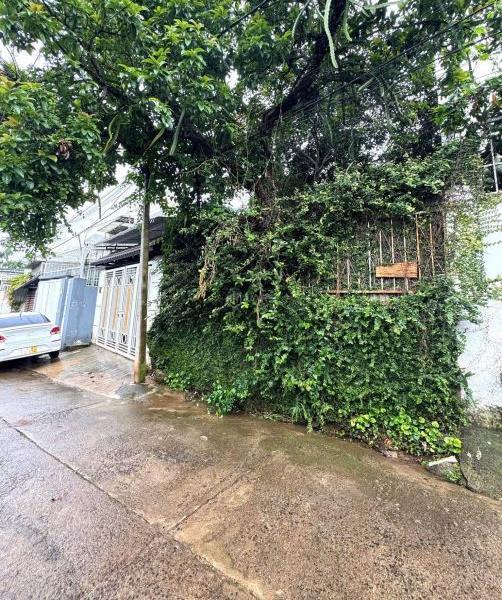 🏡 BÁN LÔ ĐẤT MẶT TIỀN DUY NHẤT – 👍 GIÁ SIÊU RẺ – ĐƯỜNG A12, THÔN 1 PHẠM NGŨ LÃO 🏡
