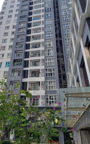 Cho thuê Căn hộ chung cư 71m²