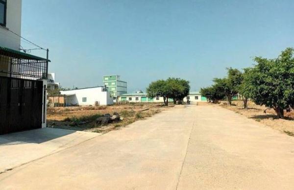 Bán đất Phú Bình - xã Vĩnh Thạnh, thành phố Nha 🏘️ Trang đường bàn cờ thông rộng 14M