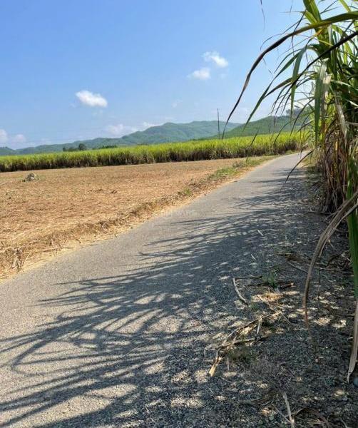 Cần bán Đất nền riêng lẻ 11000m²