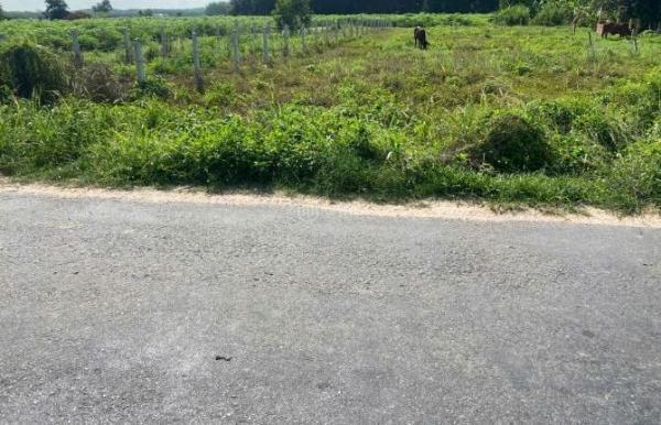 Bán đất đường nhựa Ấp Bàu 💥 đưng Xã Tân Phong, Tân Biên Tây Ninh 5x64m thổ 50m2 giá 290tr