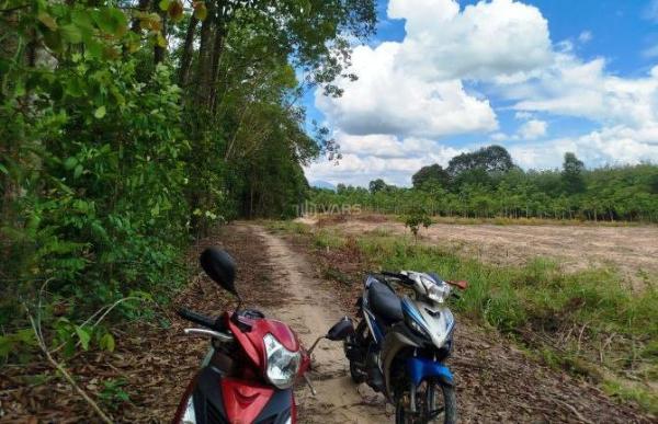 130tr 1công đất Ấp Bàu đưng, 🏠 Xã Tân Phong, Tân Biên , Tây Ninh 14x70m