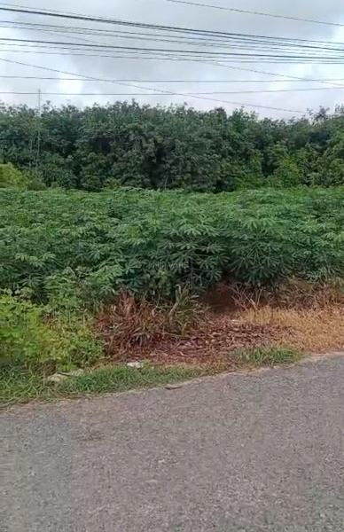 Cần bán Đất nền riêng lẻ 1800m²