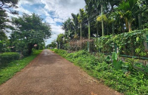 Bán Đất nền riêng lẻ 500m²