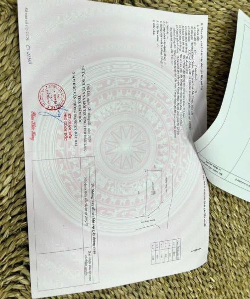 Nhà vườn góc 2 mặt tiền trung 🆘 tâm phường Khánh Xuân - Chợ Chi Lăng