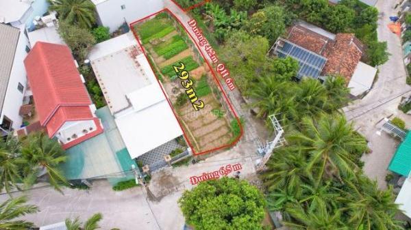 Cần bán Đất nền riêng lẻ 293m²