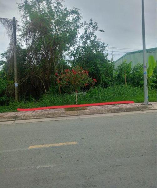 Đất 🏚️ Mt đường Nguyễn Thị Bảy, P6 TP Tân An