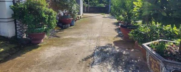 Bán Đất nền riêng lẻ 126m²