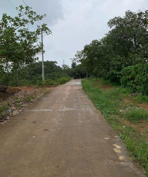Cần bán Khác 19500m²
