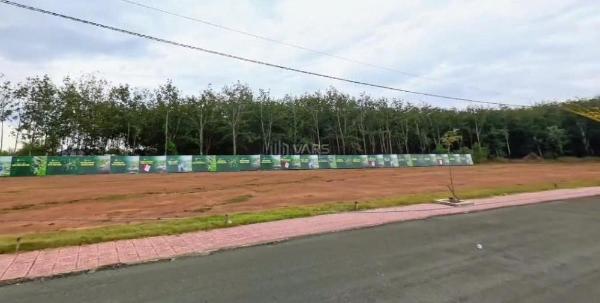 Đất nền tân hoà giá mềm chủ 🏢 ngộp cần bán gấp