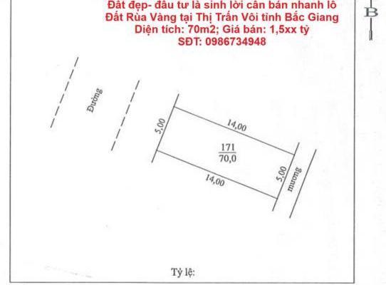 Đất 🏦 đẹp- đầu tư là sinh lời cần bán nhanh lô Đất Rùa Vàng tại Thị Trấn Vôi tỉnh Bắc Giang