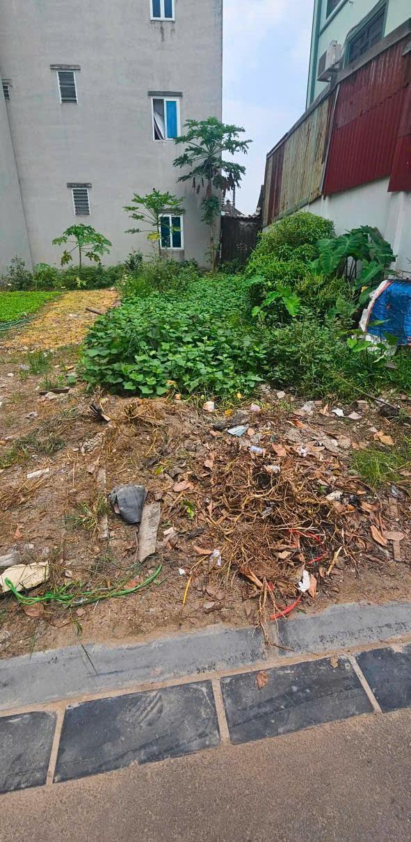 💢 💢bán lô 62m2 hà phong, liên hà ngõ thông gần hồ điều 🏡 hoà tiện ích bạt