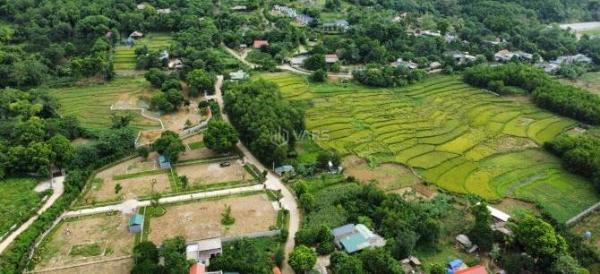 Chủ cần bán Đất nền riêng lẻ 1557m²