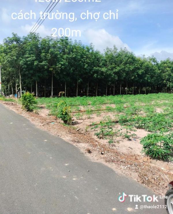Chủ cần bán Đất nền riêng lẻ 300m²