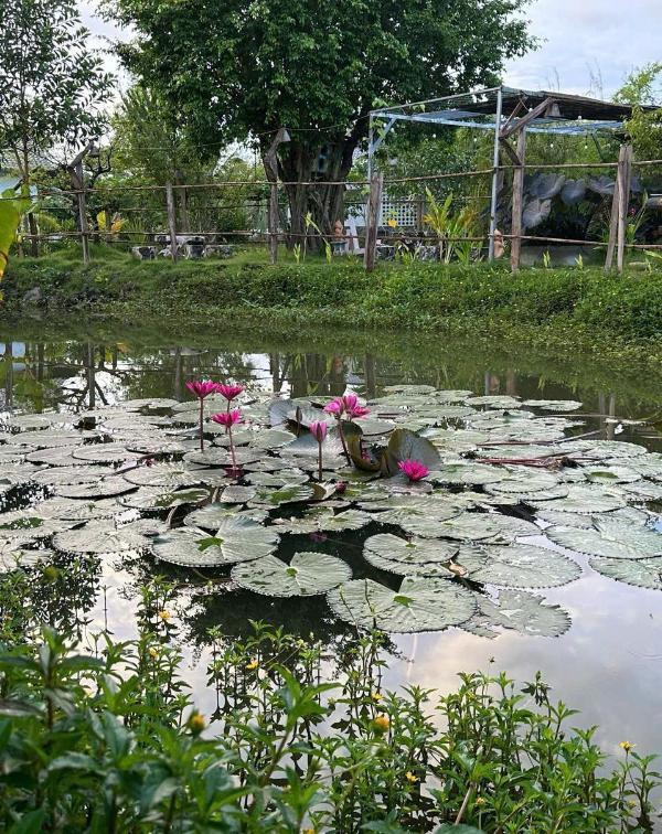 Cần chuyển nhượng lại homestay 🏡 tâm huyết