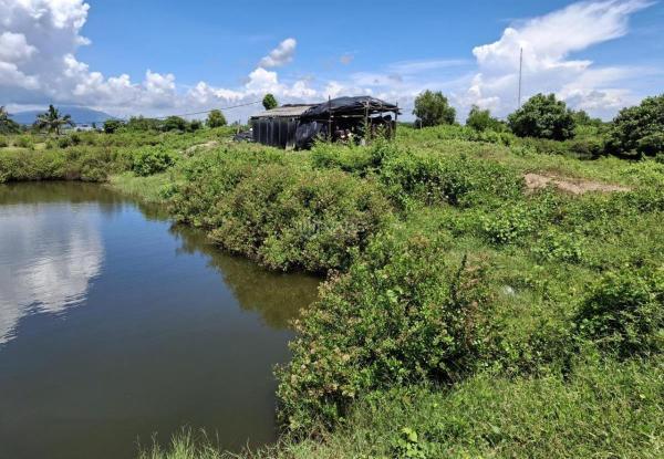 🔥 đất nở hậu bãi biển cù mi bình thuận, 1.5ha, 145x116m chỉ 1x 🏡 tỷ