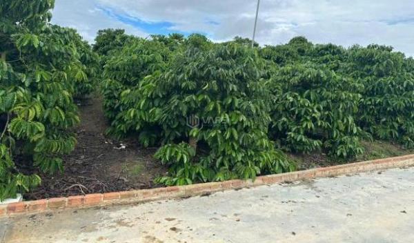 Bán 21000m2 ( 21 sào ) đất nhà , ao, vườn cà phê -Xã Liên Hiệp - Đức Trọng 🏦 Lâm Đồng