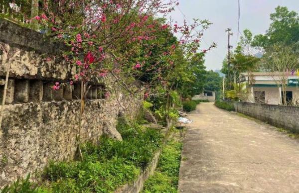 493m2/400m2 Lâm Sơn - Lương Sơn sẵn nhà cấp 4 🏦 ở luôn giá thiện chí cần bán