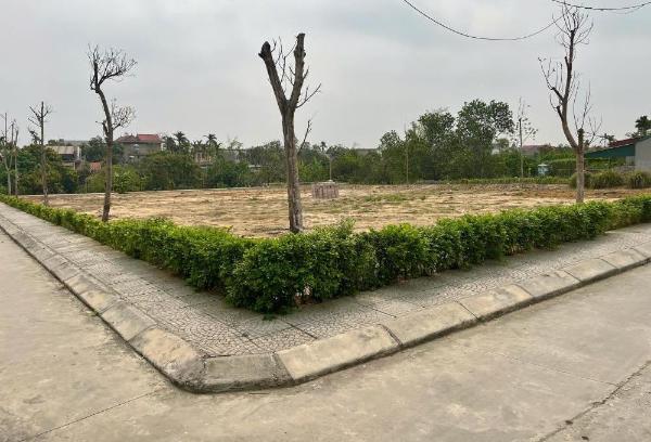 Nền đất đông triều - sổ hồng riêng - mặt tiền 5-6m 🆘 - giá chỉ từ 600tr