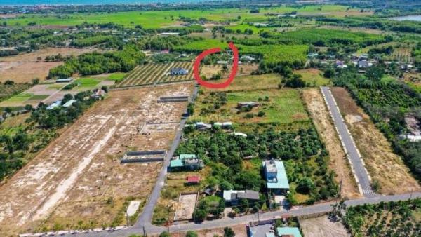 BÁN ĐẤT 🆘 XÃ PHƯỚC HẢI- TP HỒ CHÍ MINH ; CÁCH BIỂN PHƯỚC HẢI CHỈ 4KM
