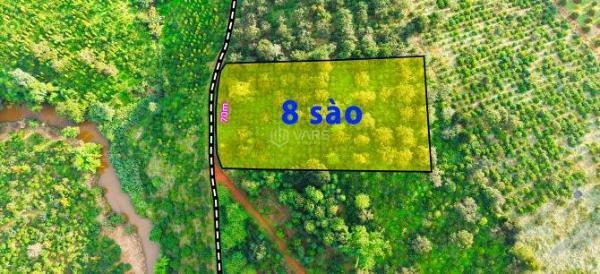 Bán Khác 8000m²