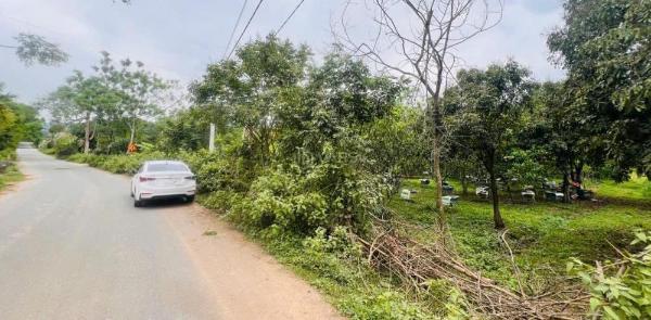 🔥 chỉ hơn 600k/m² đầu tư lô đất nghỉ dưỡng 3.948m² siêu hot 🏘️ 🔥mặt đường ql