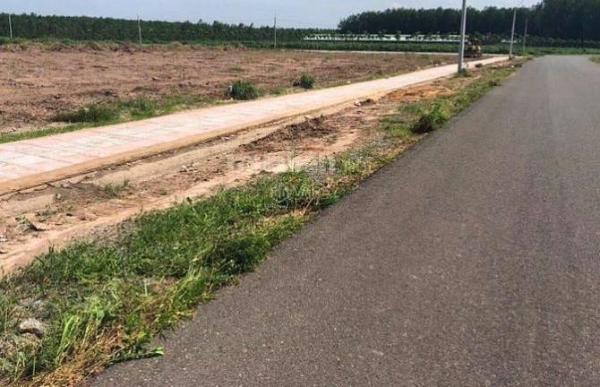 Cần bán Đất nền riêng lẻ 264m²