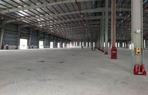 Cần cho thuê Nhà xưởng, nhà kho 5000m²