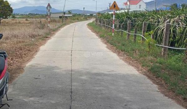 Đất Sào gần 🏡 Bên QL1A-Hàm Minh-Hàm Thuận Nam-DT 19.200m2( 4 Thửa LK)