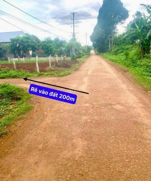 👊 Bán gấp 1 🏡 sào phủ hồng tại EaBhok, CưKuin giá chỉ 470tr