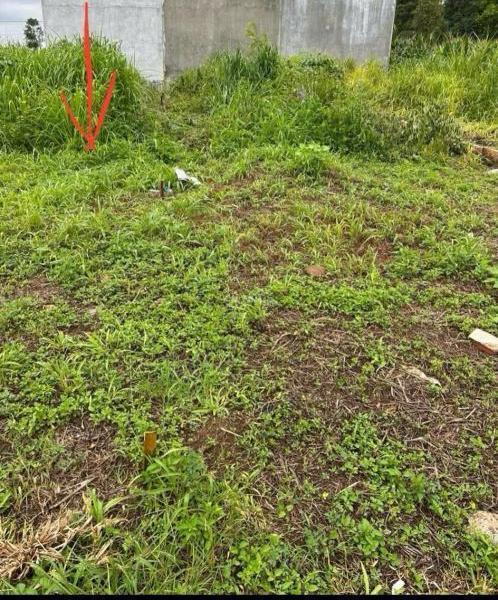 Bán Đất nền riêng lẻ 130m²